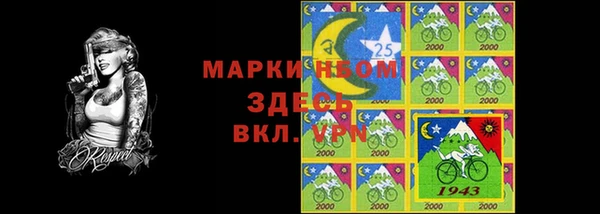СК Бородино
